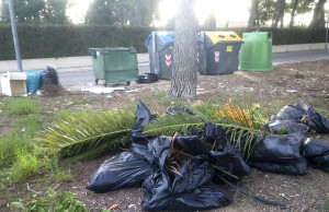 Ciudadanos denuncia el abandono del entorno del campo de fútbol del Plantío