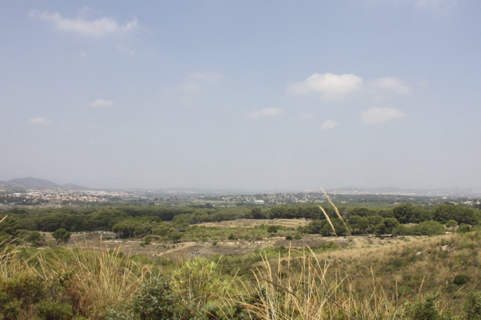 El Ayuntamiento de Paterna autoriza la limpieza anual de vegetación bajo los tendidos eléctricos de La Vallesa para prevenir incendios forestales