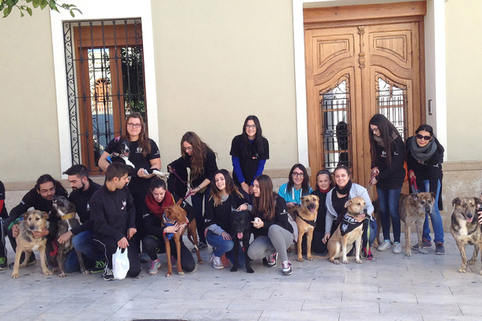 El Ayuntamiento se suma a la protectora Modepran en una campaña para impulsar la adopción