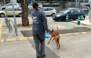 Paterna aumenta los servicios del Refugio Animal y autoriza a sus voluntarios