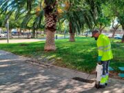 Paterna “pone en jaque” al mosquito tigre en La Canyada y urbanizaciones con un plan intensivo para frenar su proliferación