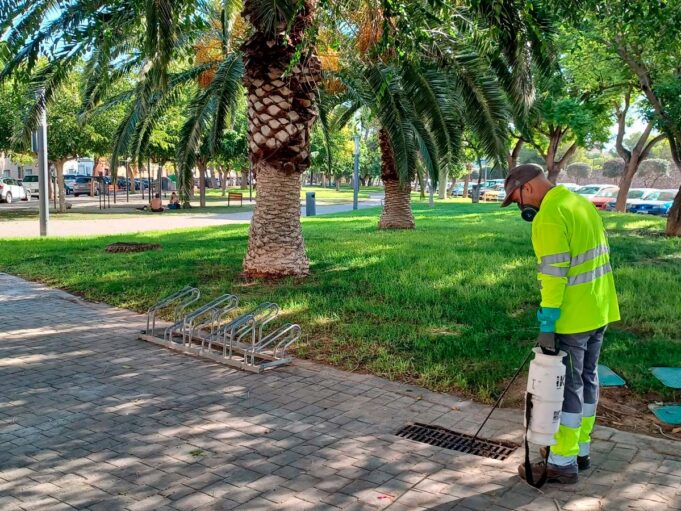 Paterna “pone en jaque” al mosquito tigre en La Canyada y urbanizaciones con un plan intensivo para frenar su proliferación